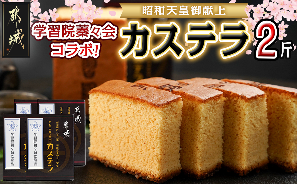 学習院蓁々会コラボ☆カステラセット(2斤分)_16-7601