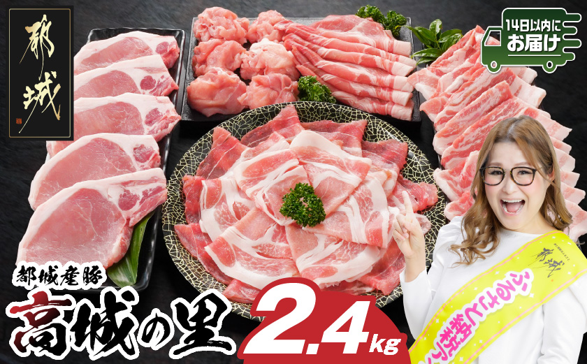 「高城の里」わくわく2.4kgセット(真空)≪みやこんじょ快速便≫_16-8401-s-R