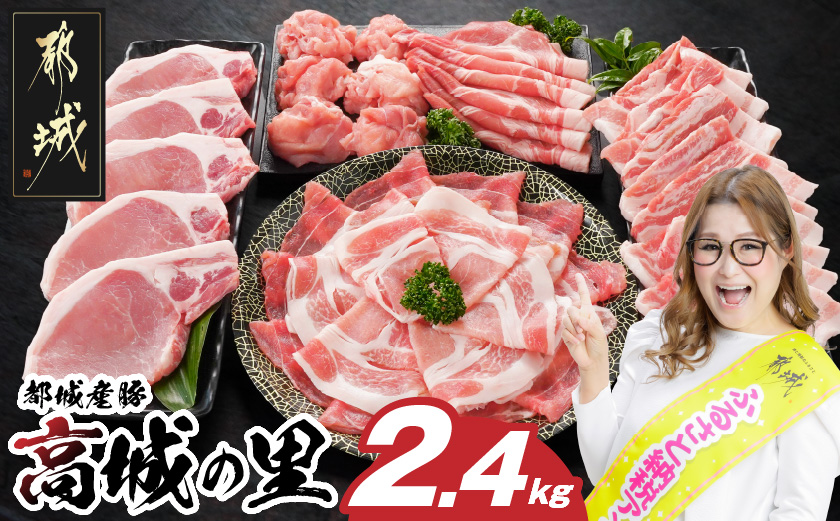 「高城の里」わくわく2.4kgセット(真空)_16-8401-s