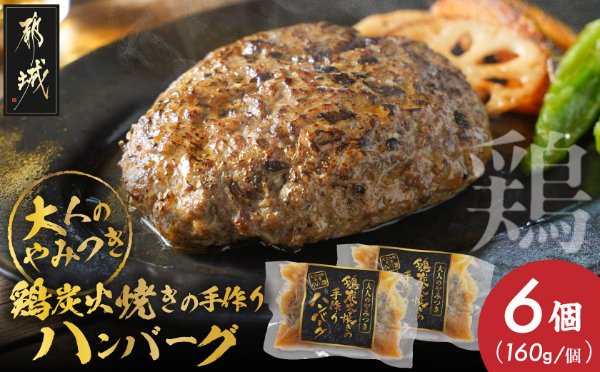鶏炭火焼きの手作りハンバーグ6個_16-N601