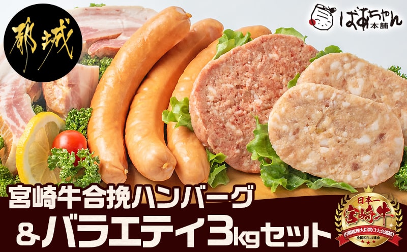 宮崎牛合挽ハンバーグとバラエティ3kgセット_17-1507