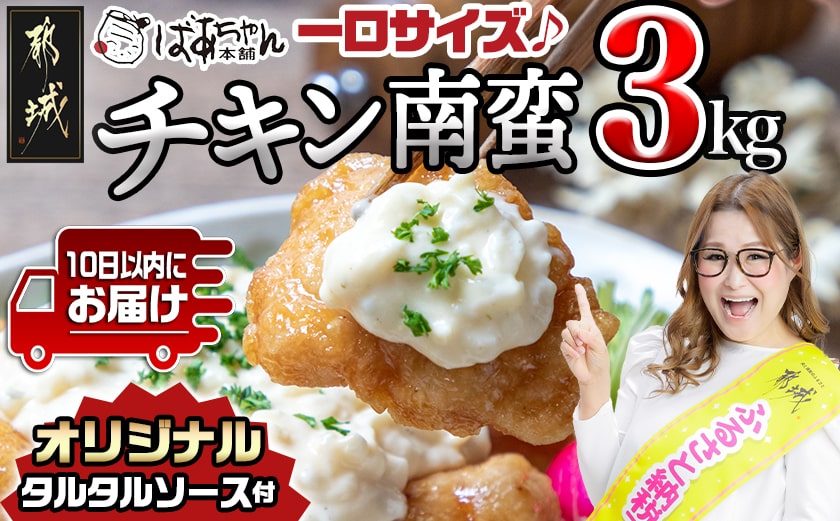 宮崎県産鶏チキン南蛮3.0kgセット≪みやこんじょ特急便≫_17-1508-Q