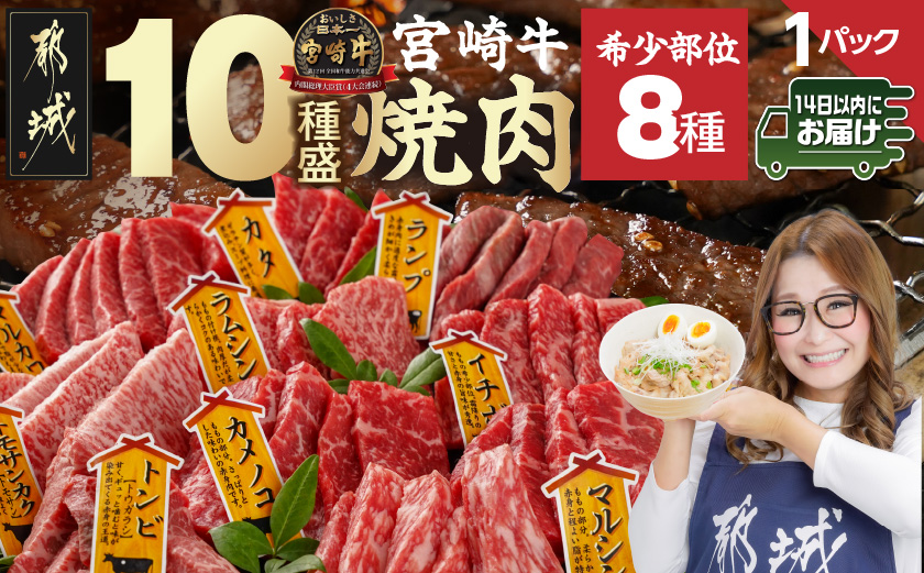 宮崎牛食べ比べ10種盛り焼肉セット≪みやこんじょ快速便≫_17-3102-R_【肉 牛肉 焼き肉 焼肉 人気 おすすめ 国産 宮崎県産】