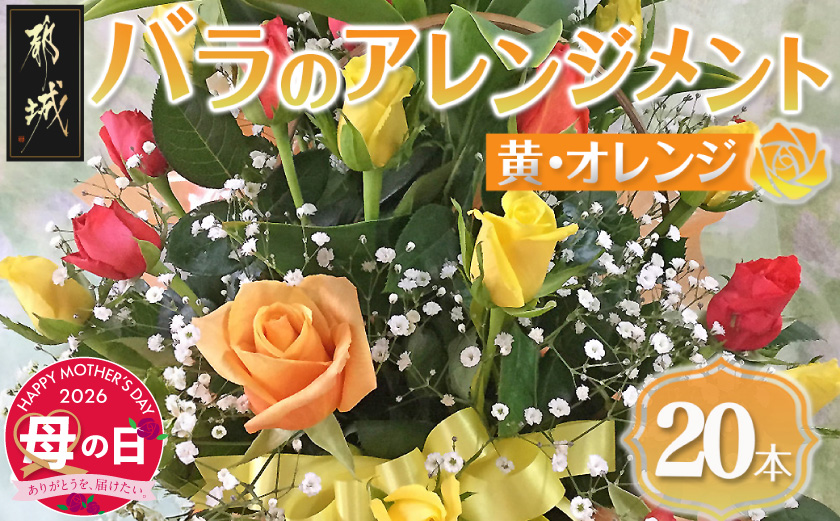 【母の日】バラのアレンジメント20本(黄・オレンジ)≪5月7日～10日お届け≫_17-3303-MG