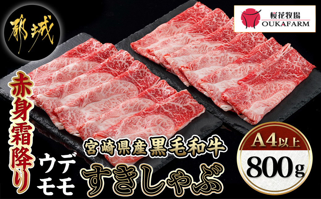 宮崎県産黒毛和牛（A4以上）【赤身霜降り】すきしゃぶ800g (400g×2P)_17-6510
