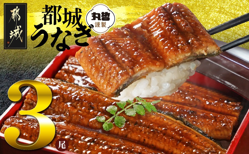 【数量限定】宮崎県育ちのうなぎ蒲焼3尾500g以上≪山椒・たれ付≫_17-M301