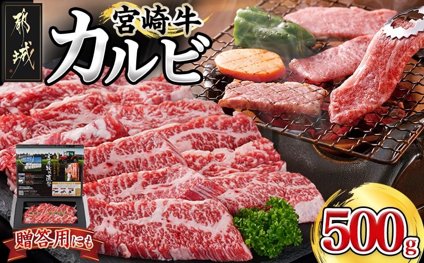宮崎牛カルビ500g_18-4205_【肉 牛肉 焼き肉 焼肉 人気 おすすめ 国産 宮崎県産】