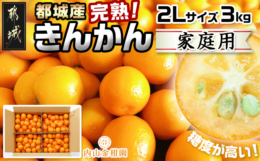 【先行受付！】【2月～3月お届け】都城産完熟きんかん 家庭用3kg (2Lサイズ)_18-B501