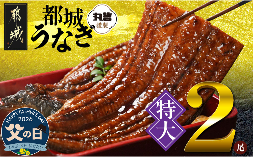【父の日】宮崎県育ちの【特大】うなぎ蒲焼2尾440g以上≪山椒・たれ付≫≪6月18日～21日お届け≫_18-M301-FG