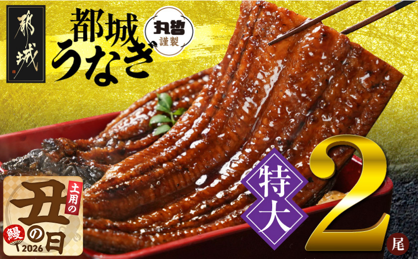 【丑の日】宮崎県育ちの【特大】うなぎ蒲焼2尾440g以上≪山椒・たれ付≫≪7月20日～25日お届け≫_18-M301-UG