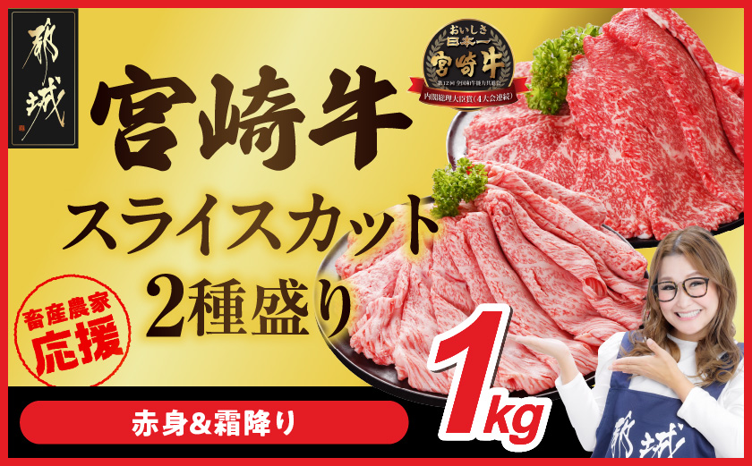畜産農家応援! 宮崎牛スライス2種セット500g×2パック_AC-N203