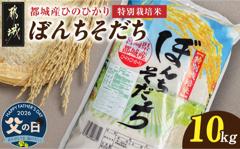【父の日】都城産ひのひかり特別栽培米「ぼんちそだち」10kg(5kg×2袋)≪6月18日～21日お届け≫_21-N5-001-10kg-FG