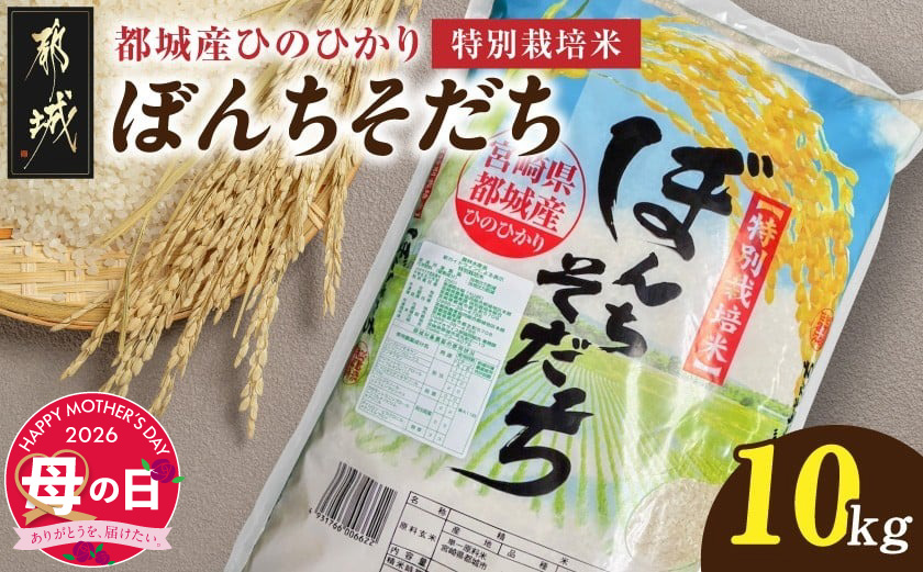 【母の日】都城産ひのひかり特別栽培米「ぼんちそだち」10kg(5kg×2袋)≪5月7日～10日お届け≫_21-N5-001-10kg-MG