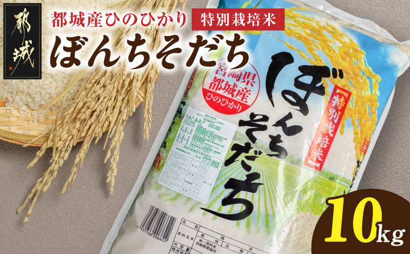 都城産ひのひかり特別栽培米「ぼんちそだち」10kg(5kg×2袋)_21-N5-001-10kg