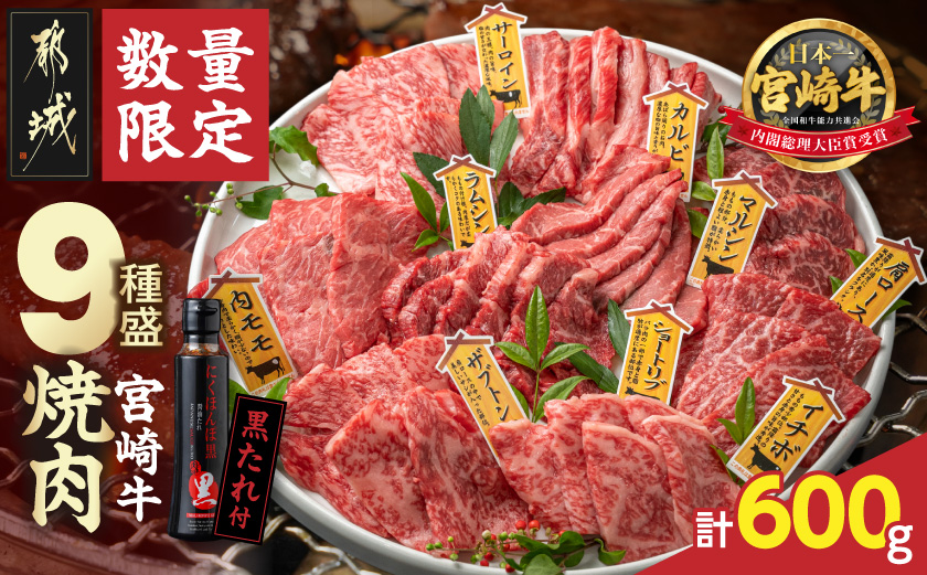 【数量限定】宮崎牛9種盛り焼肉セット_22-31-006-600g_【肉 牛肉 焼き肉 人気 おすすめ 国産 宮崎県産 4等級以上 たれ付き】