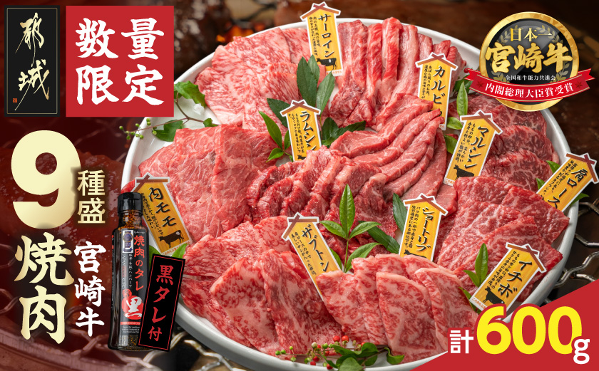 【数量限定】宮崎牛9種盛り焼肉セット_22-3101_【肉 牛肉 焼き肉 人気 おすすめ 国産 宮崎県産 4等級以上 たれ付き】