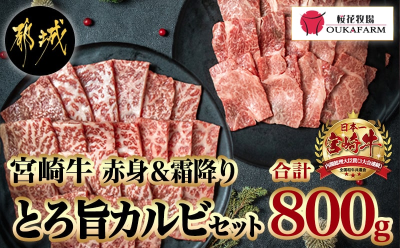 宮崎牛赤身＆霜降り【とろ旨カルビセット】800g_22-6506_【肉 牛肉 焼き肉 焼肉 人気 おすすめ 国産 宮崎県産】