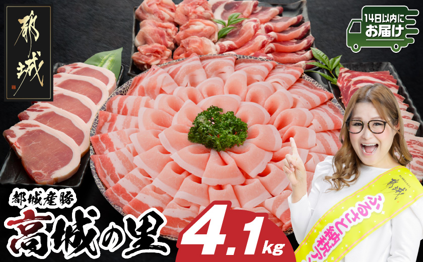 「高城の里」わくわく4.1kgセット(真空)≪みやこんじょ快速便≫_22-8401-s-R