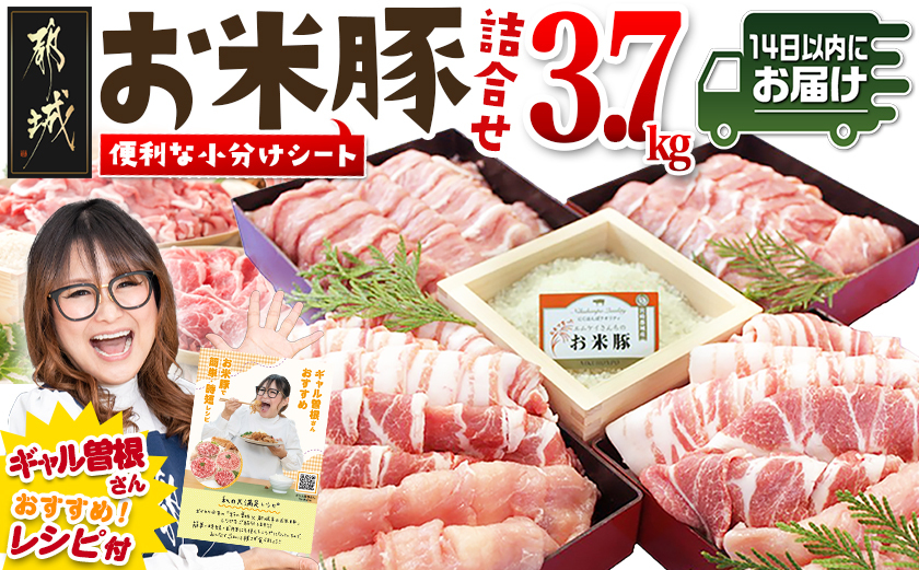 お米豚3.7kgセット≪みやこんじょ快速便≫_23-3101-R