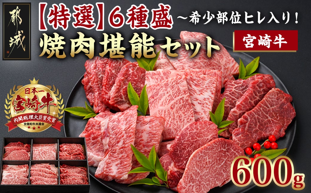 ≪希少部位ヒレ入り!≫ 宮崎牛【特選】6種盛 焼肉堪能セット 600g_24-6502_【肉 牛肉 焼き肉 焼肉 人気 おすすめ 国産 宮崎県産】