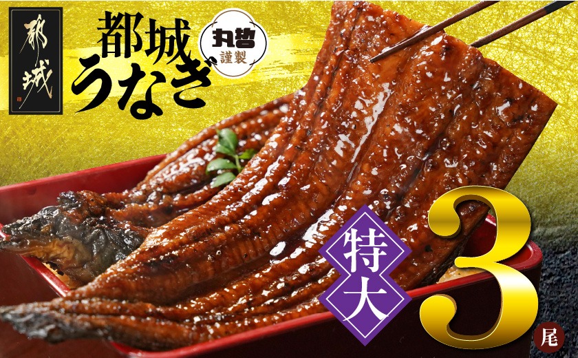 宮崎県育ちの【特大】うなぎ蒲焼3尾680g以上≪山椒・たれ付≫_24-M301
