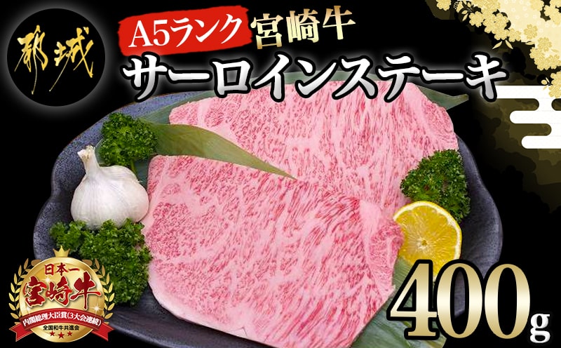 宮崎牛(A5)サーロインステーキ200g×2枚_28-0102