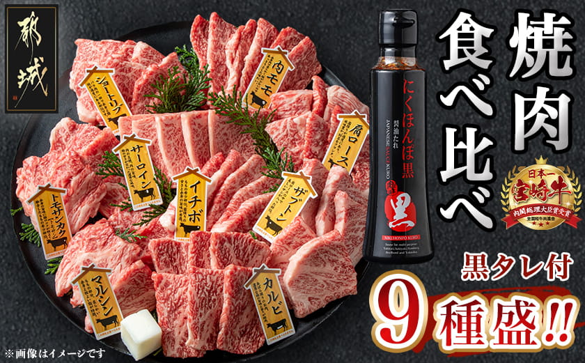 宮崎牛焼肉食べ比べ9種盛_32-31-007_【肉 牛肉 焼き肉 焼肉 人気 おすすめ 国産 宮崎県産】