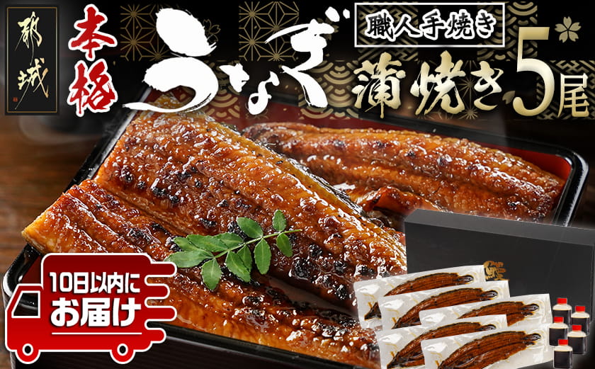 職人手焼きの本格うなぎ蒲焼き5尾≪みやこんじょ特急便≫_32-33-003-5-Q