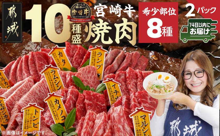 宮崎牛食べ比べ10種盛り焼肉セット(各600g×2P)≪みやこんじょ快速便≫_34-3103-R_【肉 牛肉 焼き肉 焼肉 人気 おすすめ 国産 宮崎県産】
