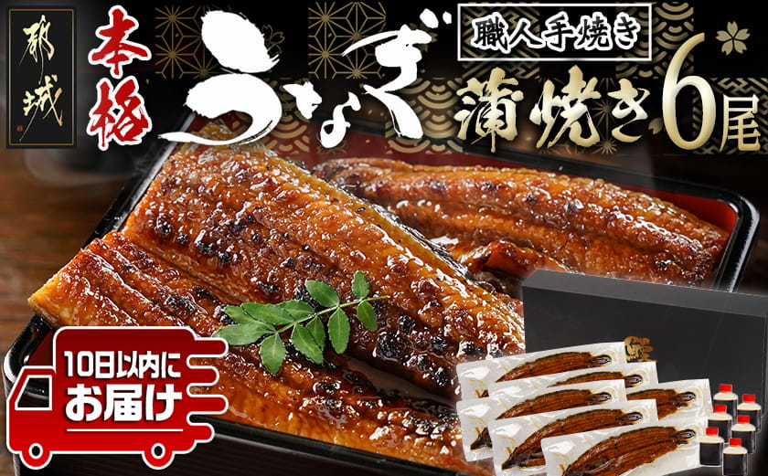 職人手焼きの本格うなぎ蒲焼き6尾≪みやこんじょ特急便≫_38-33-003-6-Q