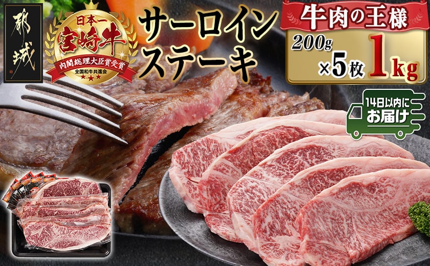 宮崎牛サーロインステーキ(200g×5枚)≪みやこんじょ快速便≫_38-N402-R