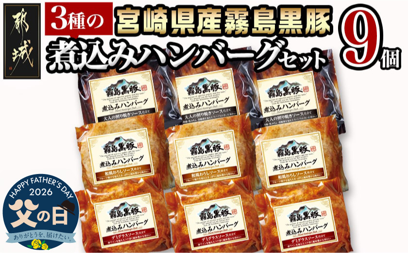 【父の日】霧島黒豚 3種の煮込みハンバーグギフト (デミグラスソース仕立て・和風おろしソース仕立て・大人の照焼きソース仕立て)≪6月18日～21日お届け≫_AA-2804-FG