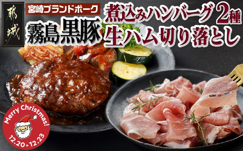 【☆クリスマス☆】霧島黒豚煮込みハンバーグ2種&生ハム切り落としセット≪12月20日～23日お届け≫_AA-2811-OJX