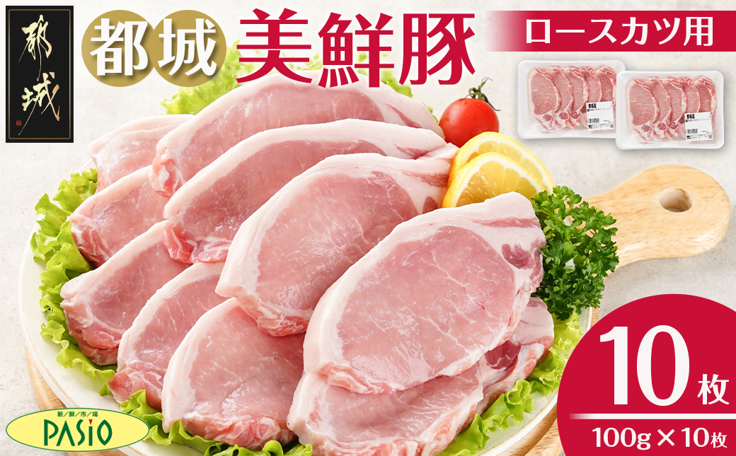 都城美鮮豚ロースカツ用10枚セット_AA-5402