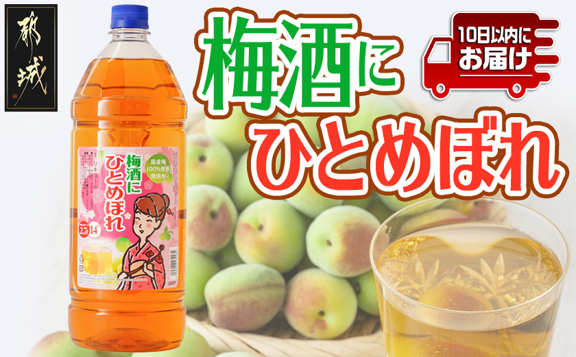 梅酒にひとめぼれ 2.7L×1本 ≪みやこんじょ特急便≫_AA-6702