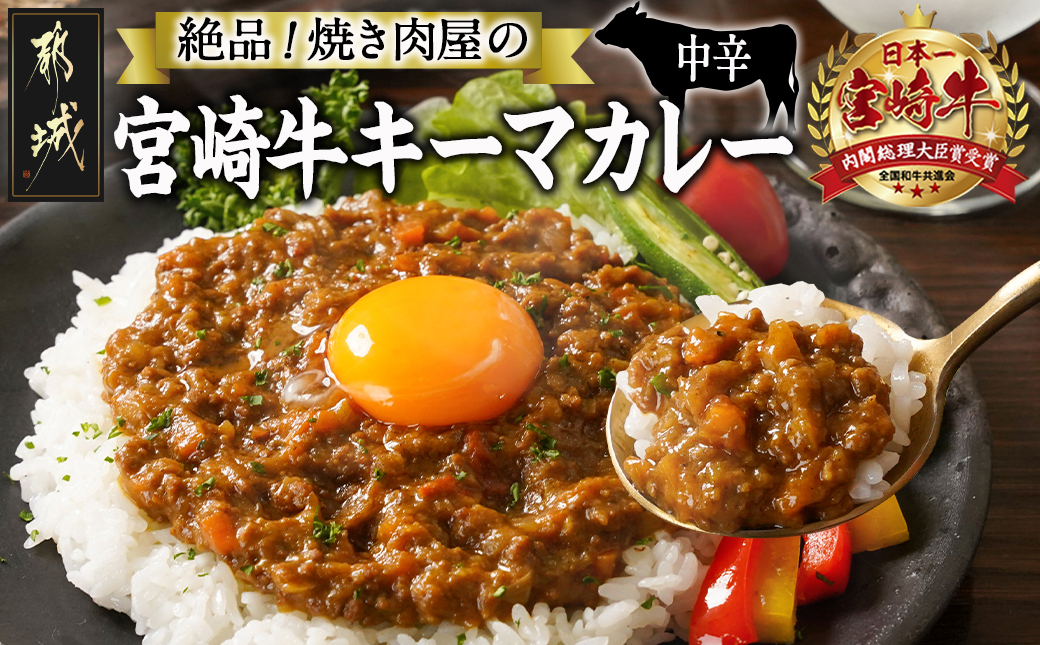 絶品!焼き肉屋の宮崎牛キーマカレー(中辛)_AA-7707