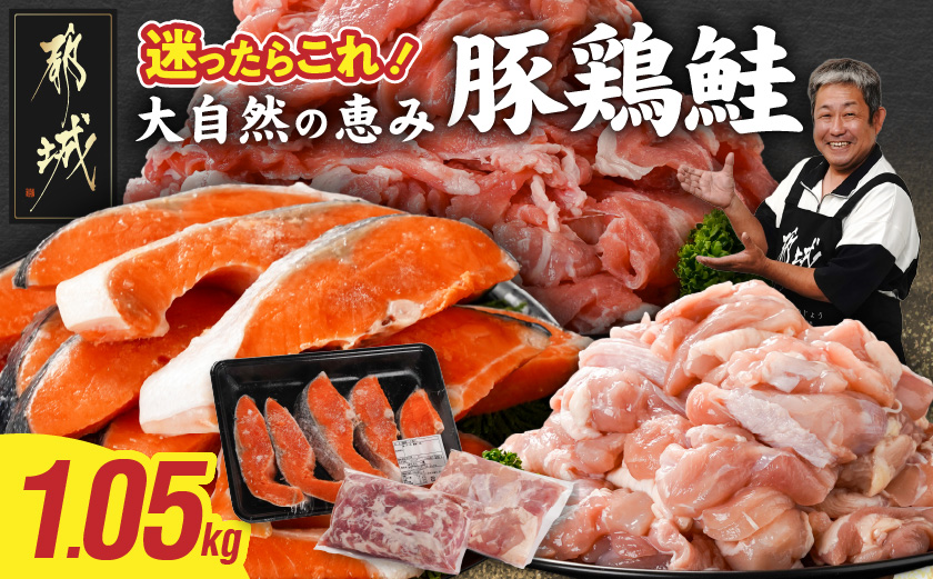 ≪肉×魚≫小分け3種セット(豚切り落とし250g・鶏モモカット済300g・銀鮭500g)_AA-8413