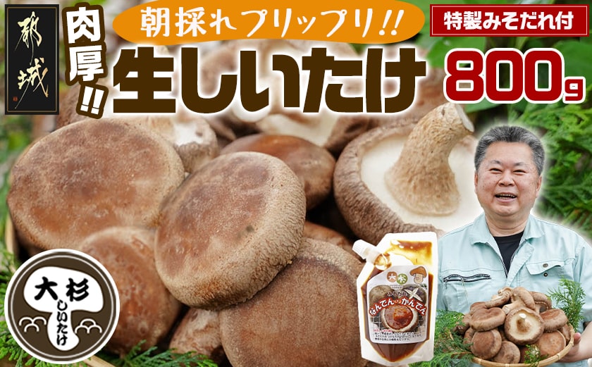 朝採れ肉厚生しいたけと特製みそだれ_AA-8701