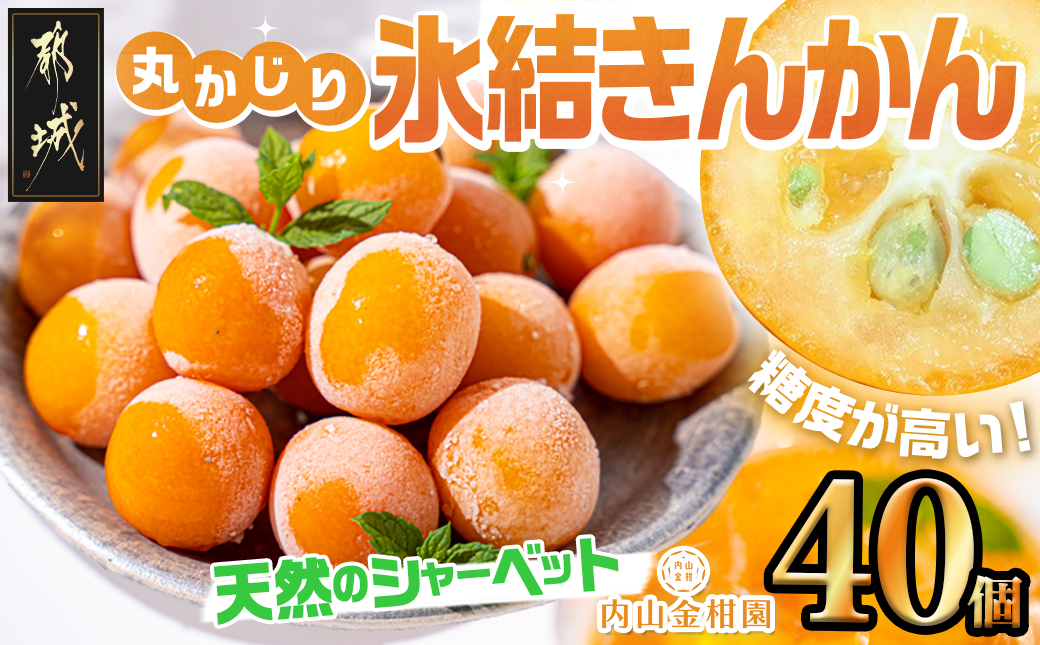 天然のシャーベット! 丸かじり氷結きんかん_AA-B502