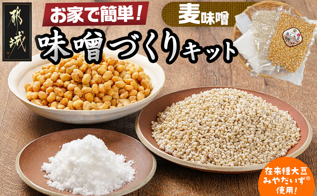 お家で簡単!味噌づくりキット【麦味噌】_AA-G802