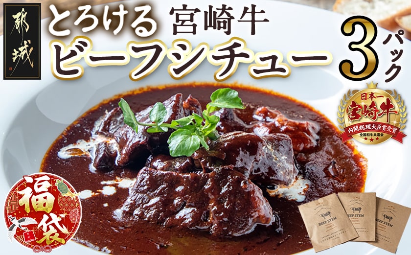 【福袋★2026】とろける宮崎牛ビーフシチュー3パックセット_AA-H301-F2026