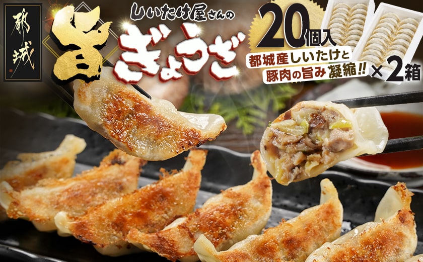 しいたけ屋さんの旨ぎょうざ_AA-M101