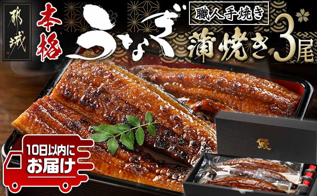 職人手焼きの本格うなぎ蒲焼き3尾≪みやこんじょ特急便≫_AC-33-003-3-Q