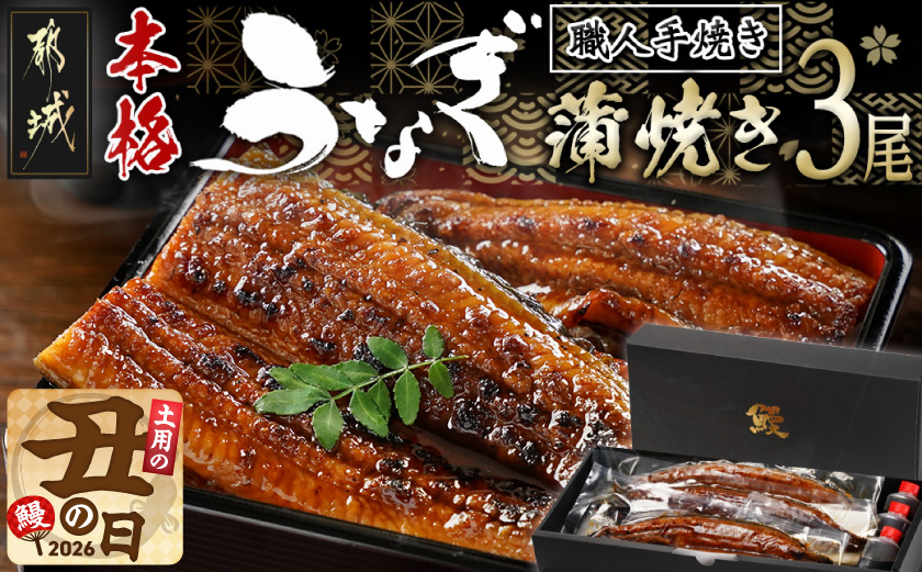 【丑の日】職人手焼きの本格うなぎ蒲焼き3尾≪7月20日～25日お届け≫_AC-33-003-3-UG