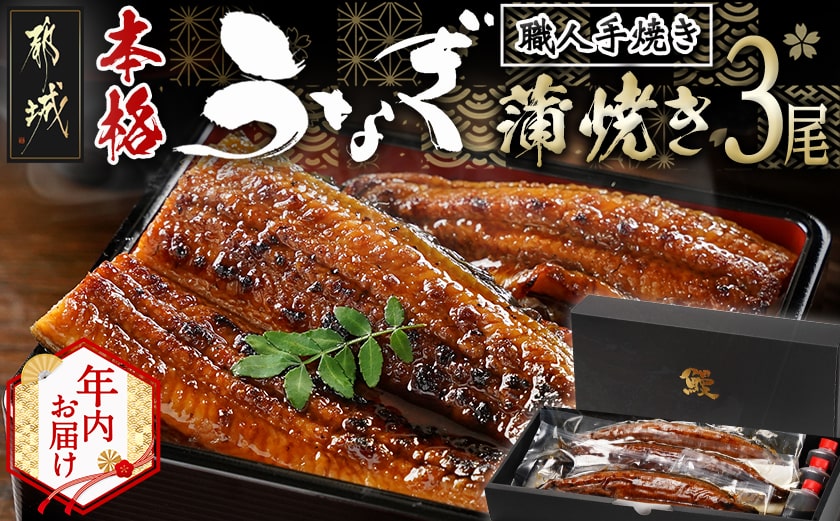 【年内お届け】職人手焼きの本格うなぎ蒲焼き3尾≪2025年12月15日～31日お届け≫_AC-3301-HNY