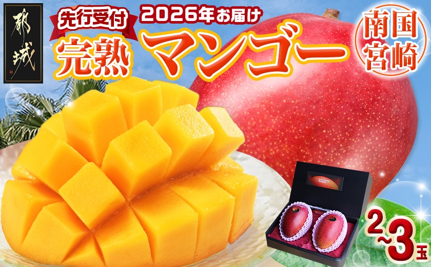 【先行受付!】宮崎完熟マンゴー2～3玉(都城産)_AC-3303_【果物 先行予約 フルーツ】