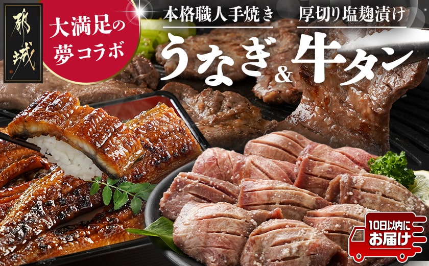 大満足の夢コラボ☆うなぎ&厚切り牛タンセット≪みやこんじょ特急便≫_AC-3308-Q