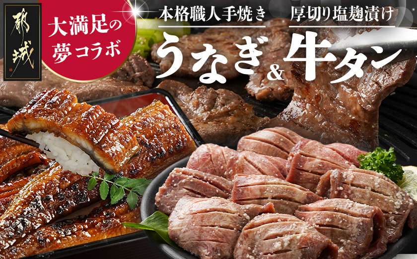 大満足の夢コラボ☆うなぎ&厚切り牛タンセット_AC-3308