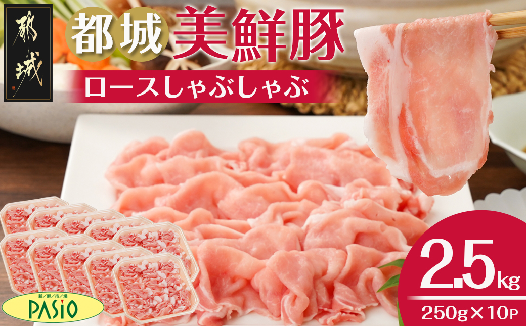 都城美鮮豚ロースしゃぶしゃぶ2.5kg(250g×10パック)_AC-5405
