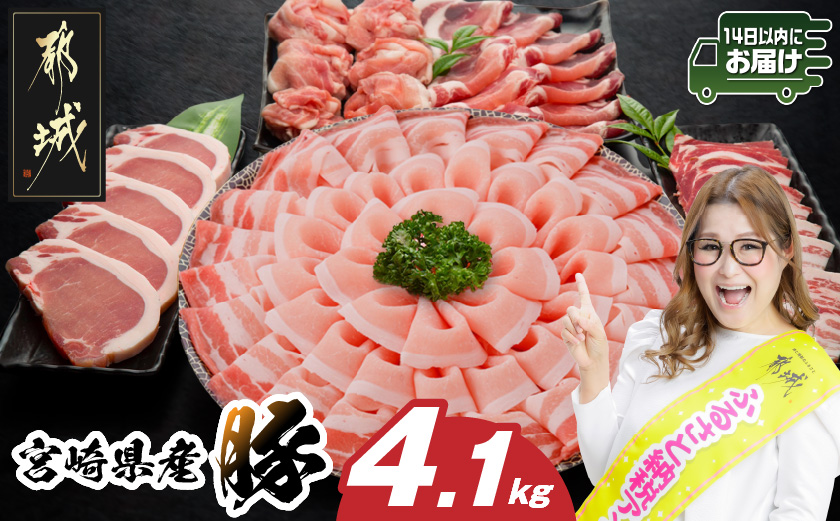 宮崎県産豚わくわく4.1kgセット(真空)≪みやこんじょ快速便≫_AC-8403-s-R